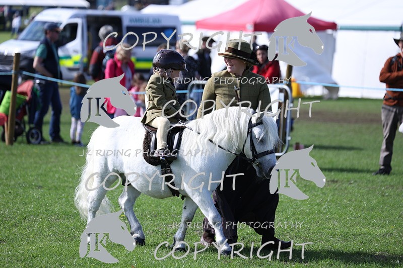 APP_3920 - Class 13 Lead rein