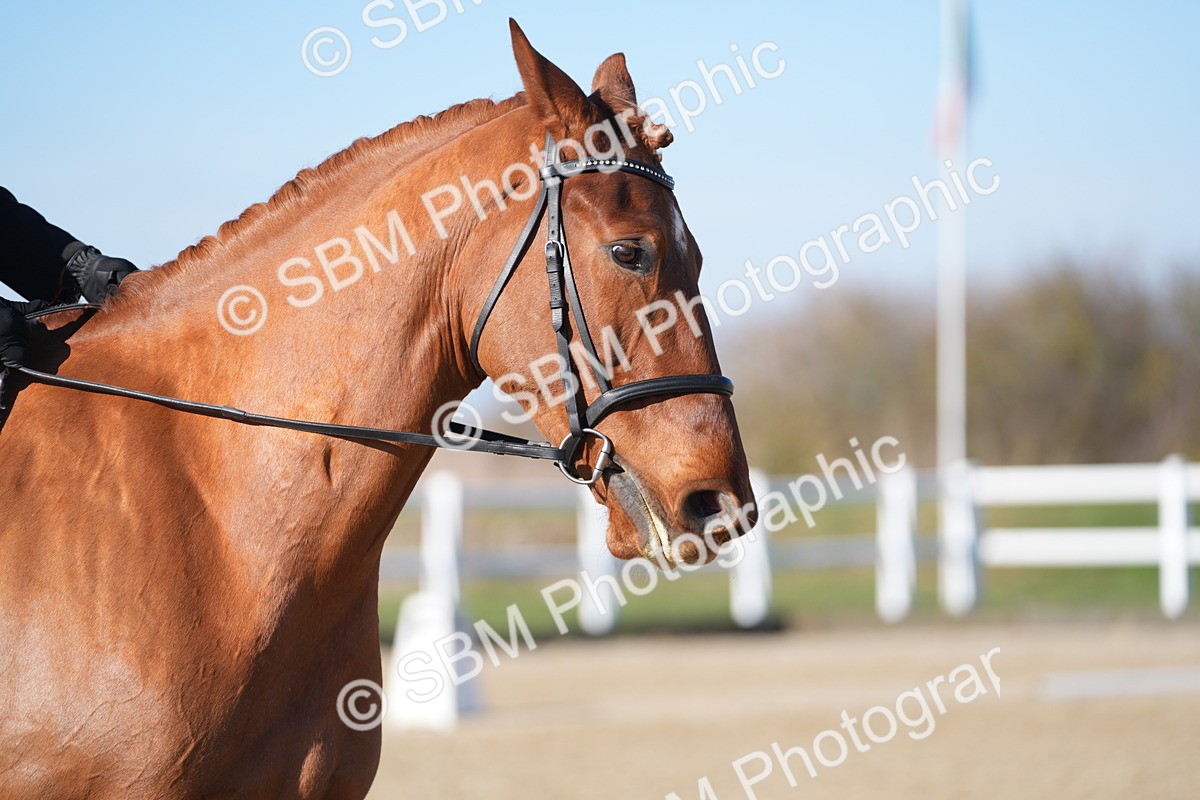 SBM_003356 - Class 3 - P2-80cm - E1