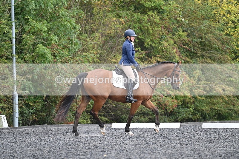 WJ7_4317 - Time 11:43 to 12:09