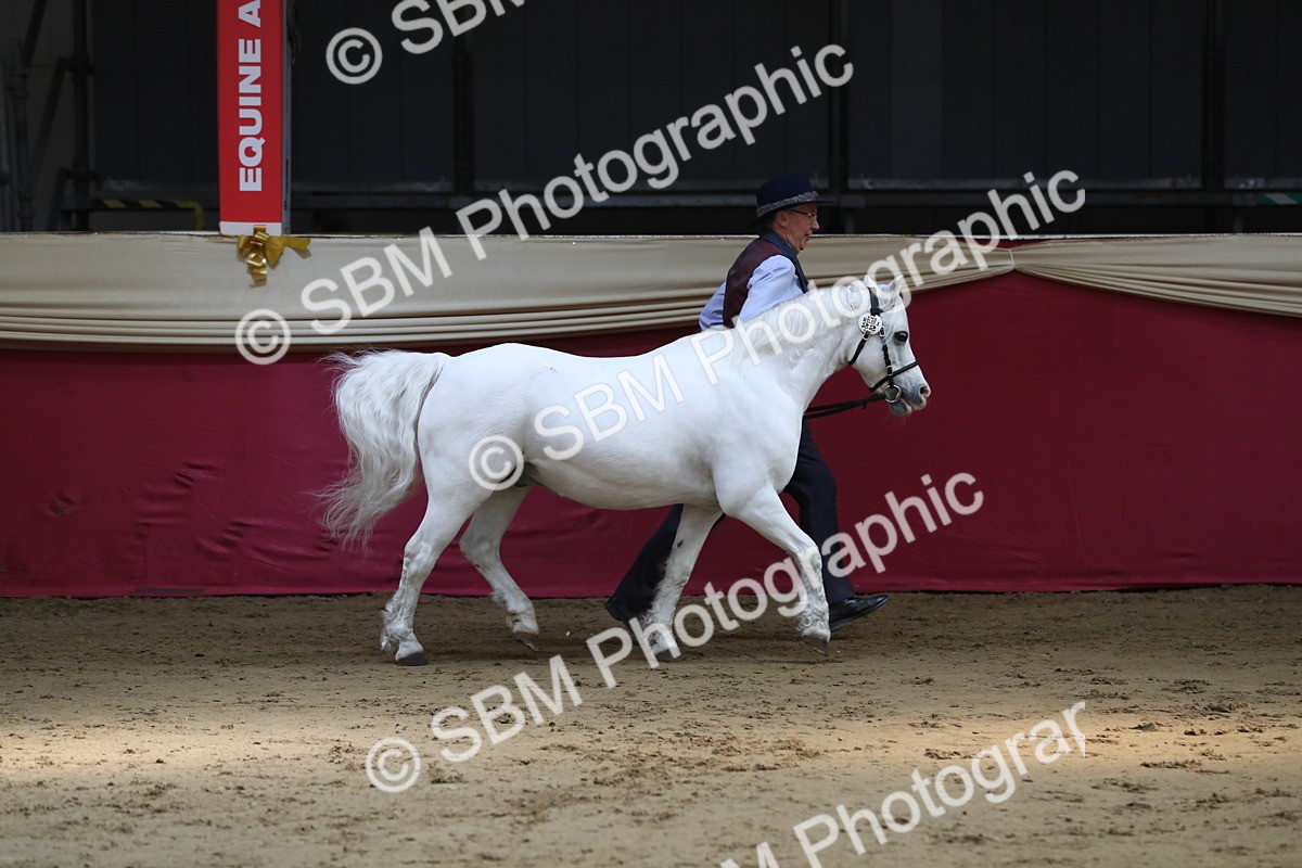 SBM_04940 - Class 8R- Regional -IH Veteran