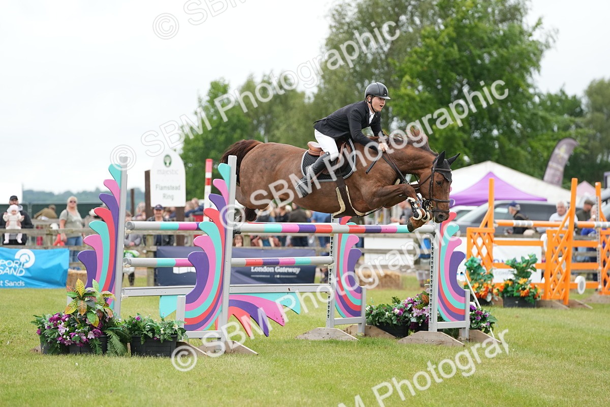 SBM_03440 - Class 201 - British Horse Feeds Speedi Beet Horse of the Year Show Grade  C