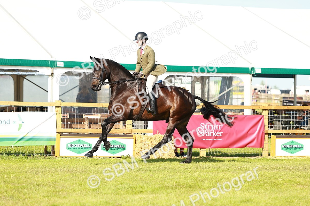 SBM_10934 - Class 66-69 - RIHS Ridden Hunters Inc Small Hunter