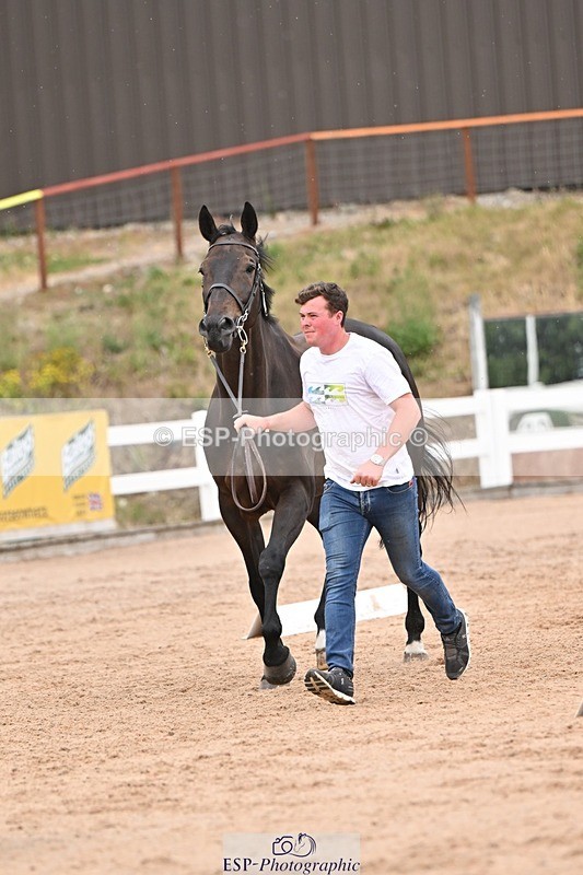 250716-160956-02474 - Trot Up 3.30 to 4.30