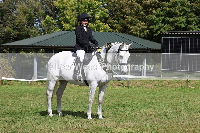 3E7A3385 - Presentations.