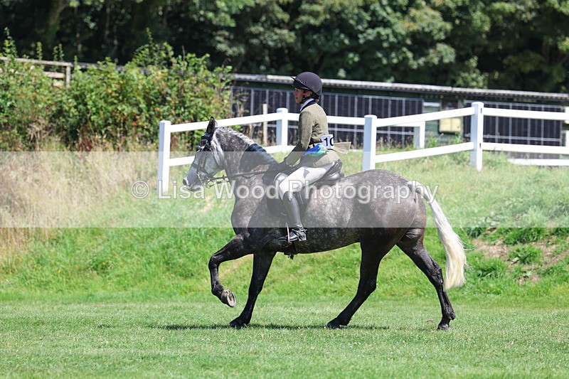 3E7A9207 - Working Hunter Championship