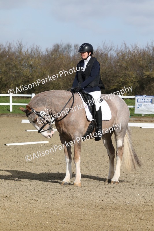 20260314-0340 - DR1 - Intro 1