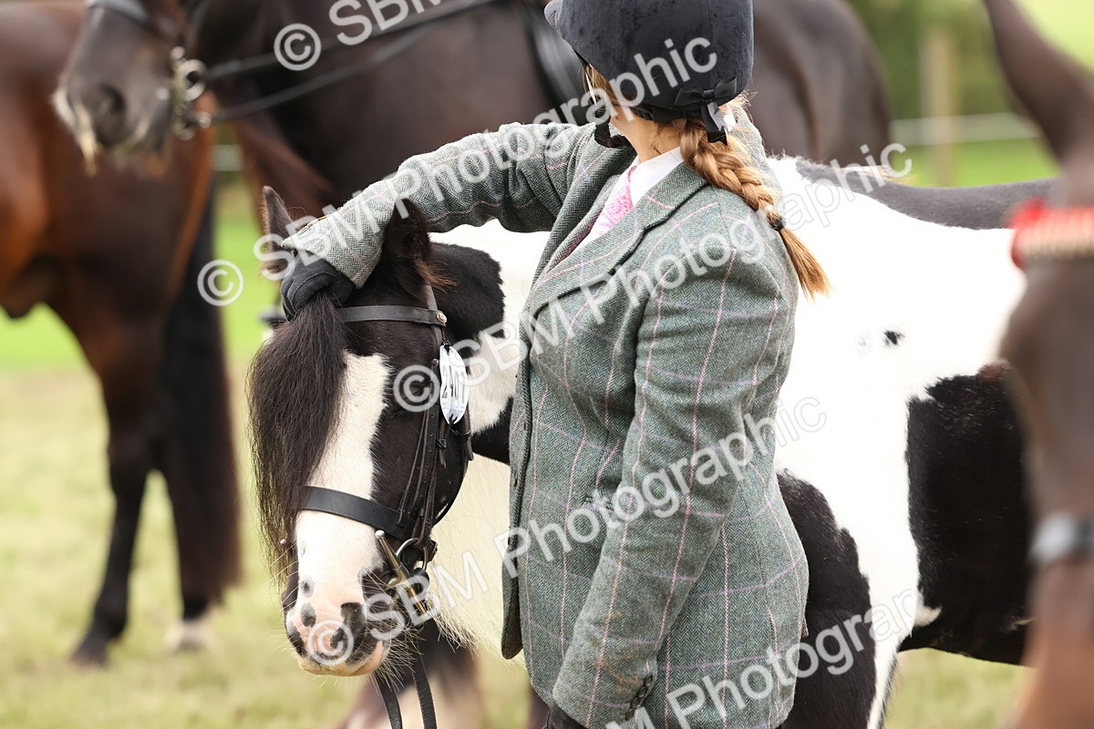 SBM_59986 - S36 - Rehabiliated Rescue Horse & Pony In Hand & Ridden
