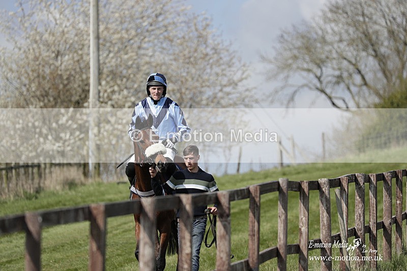 PtP 080423 153 - Dingley Races The Woodland Pytchley Hunt PtP 08/04/23