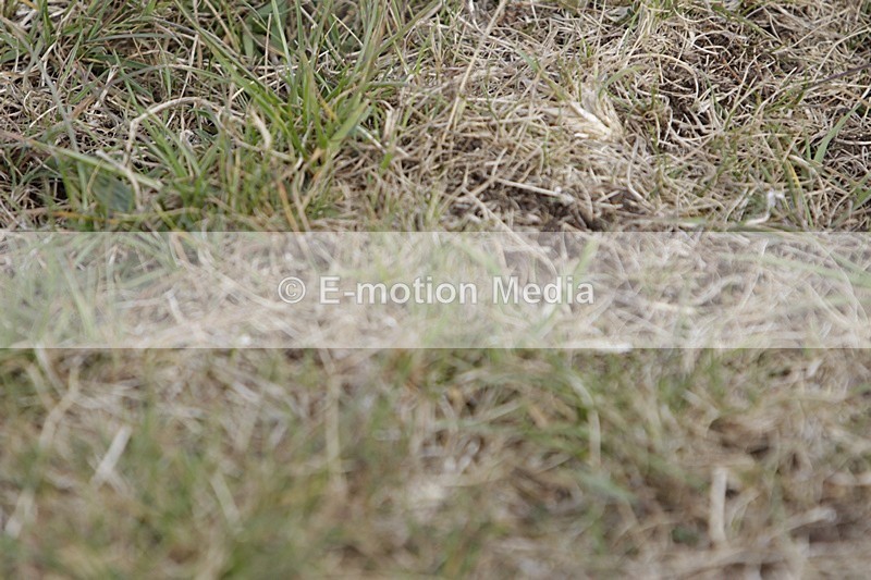 BVHT 140517 I-627 - Class 1 SJ Intermediate 14/05/17