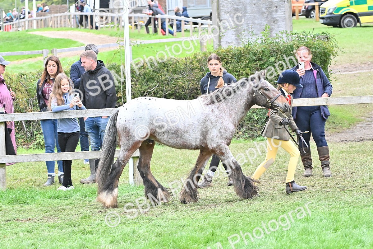 SBM_68559 - S42 - Junior Handler 9-12 Years