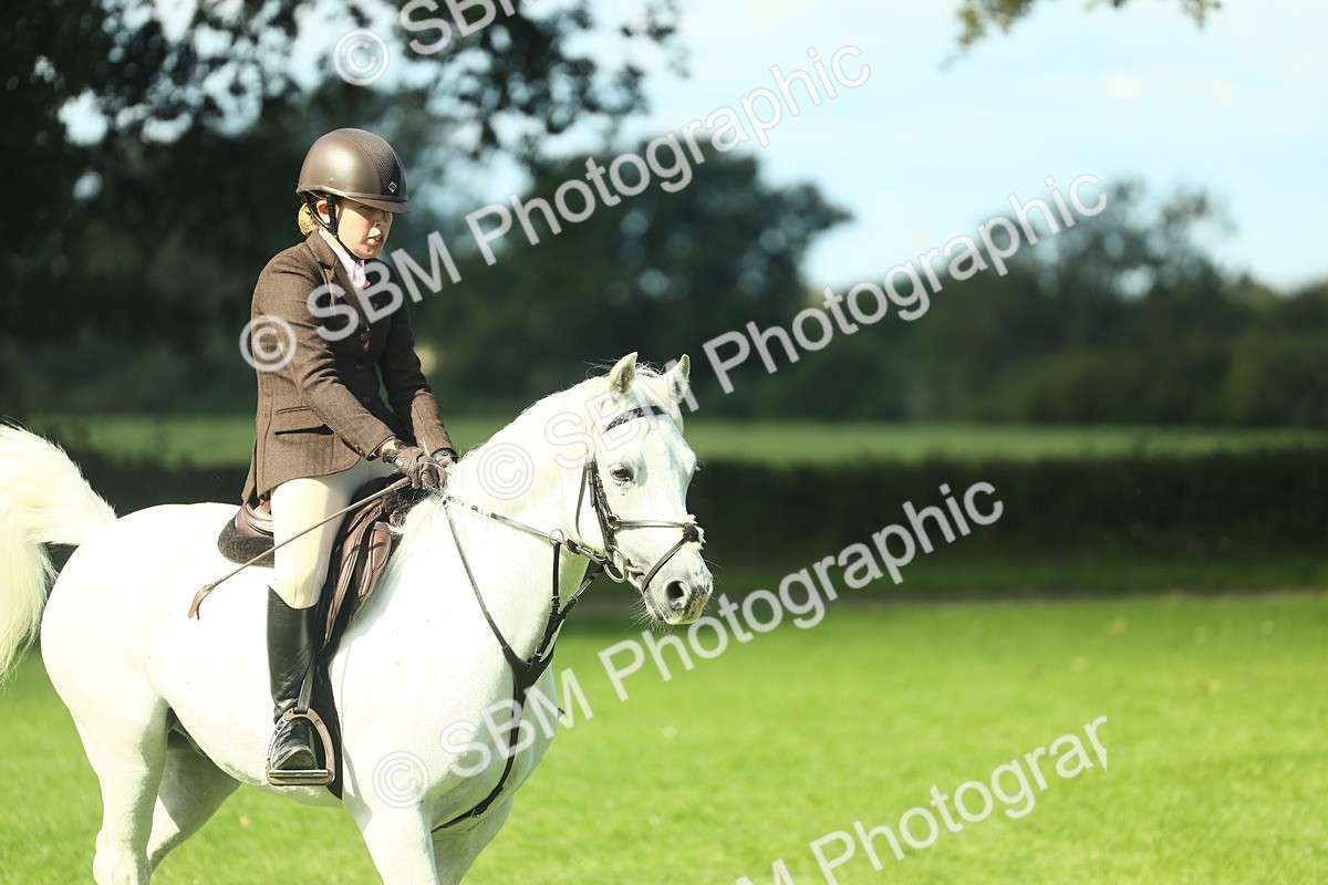 SBM_39233 - S29 - Novice & Newcomers Working Hunter Pony