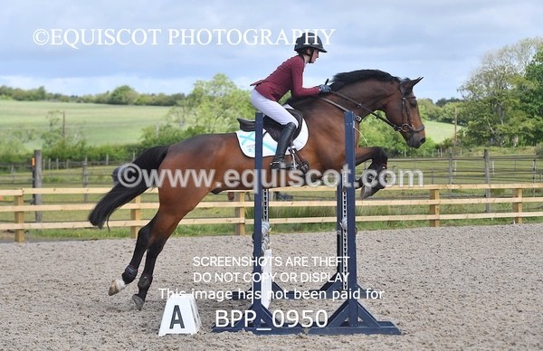 BPP_0950 - Senior British Novice/ 90cm Open