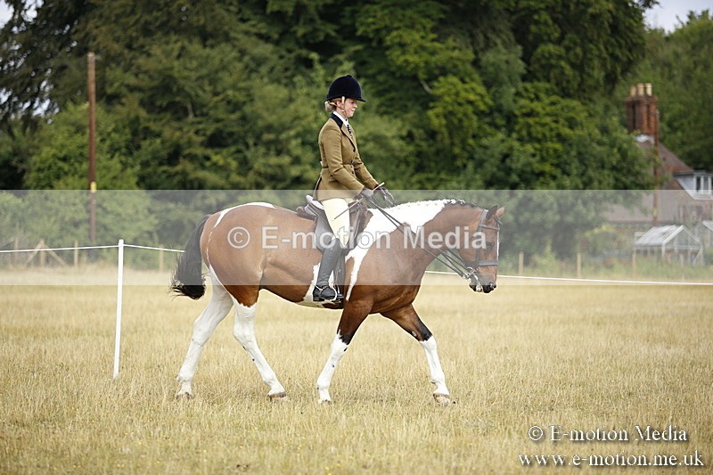 _C7A9465 - BVRC Show 2018 Ring 1