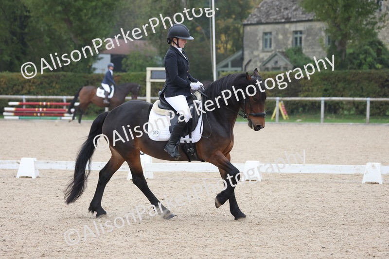 20251012-0525 - Class 4 - Novice 6