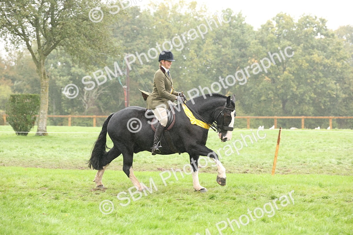 SBM_72917 - Ridden Horse Supreme Championship