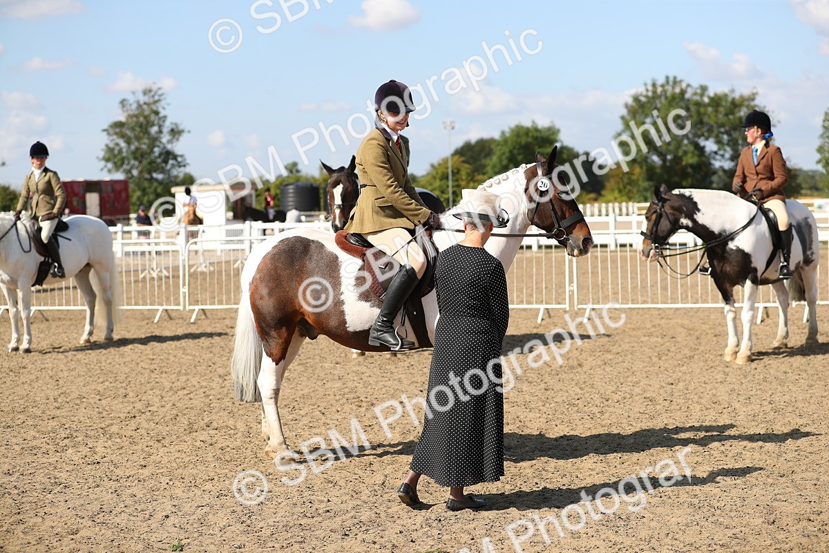 SBM_03236 - Class 44 Riding Club Horse/ Pony