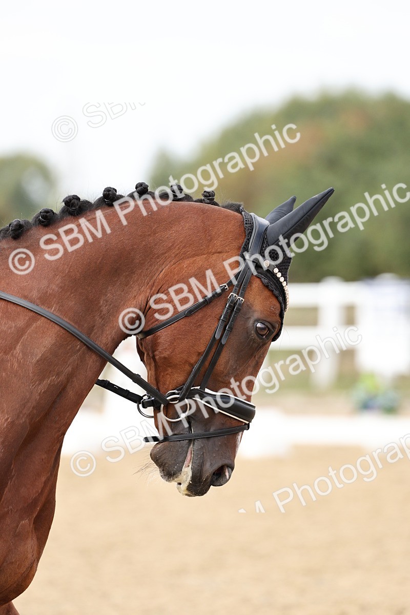 SBM_019545 - Class 18 - Elementary 5