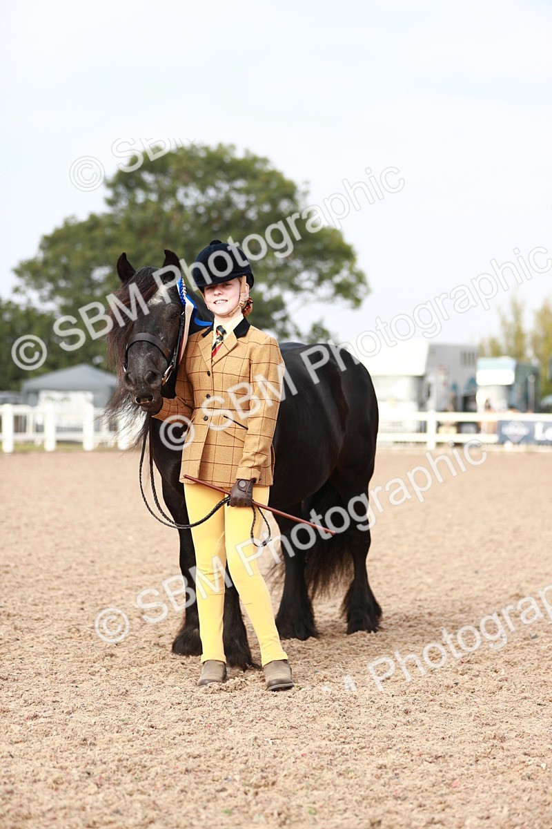 SBM_10622 - Class 204 Young Handler, 11-16 years
