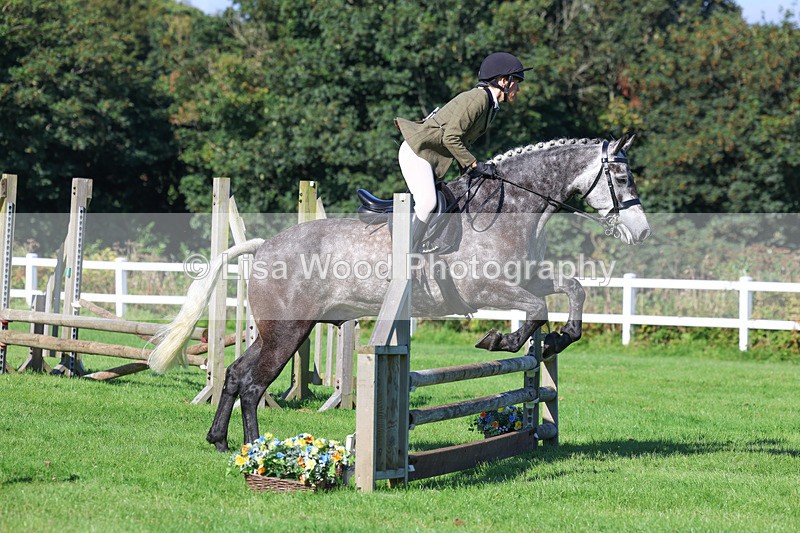 3E7A7771 - Class 2: Open Working Hunter pony