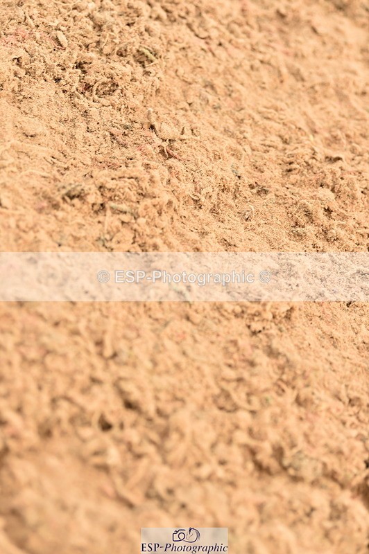 231122A-130212-00395 - Cls 4 Newcomers & 1.10m Open