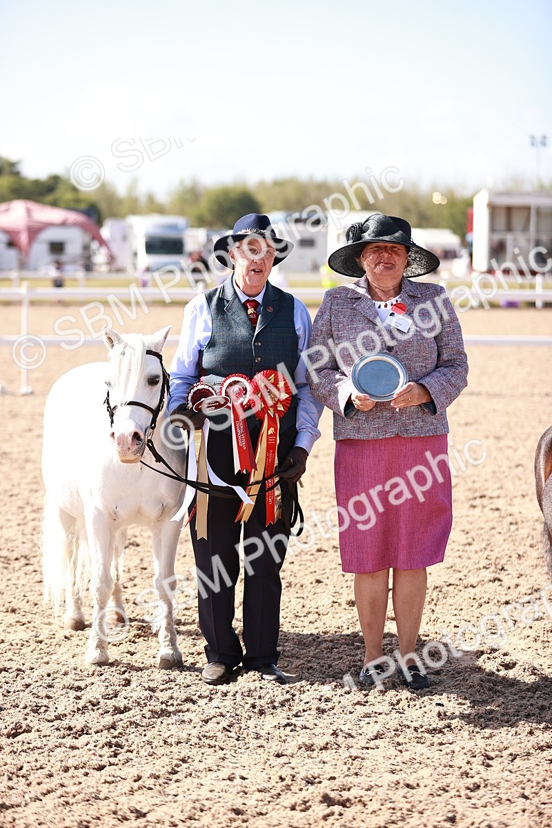 SBM_22829 - Class 705 - IH Combination 65+