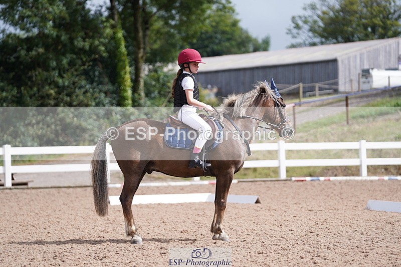 240809A-105014-00676 - Dressage Competition