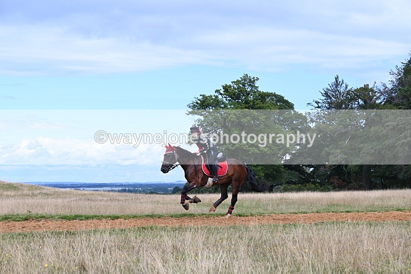 DSC_8914 - Time at Statue 14:33 to 15:10