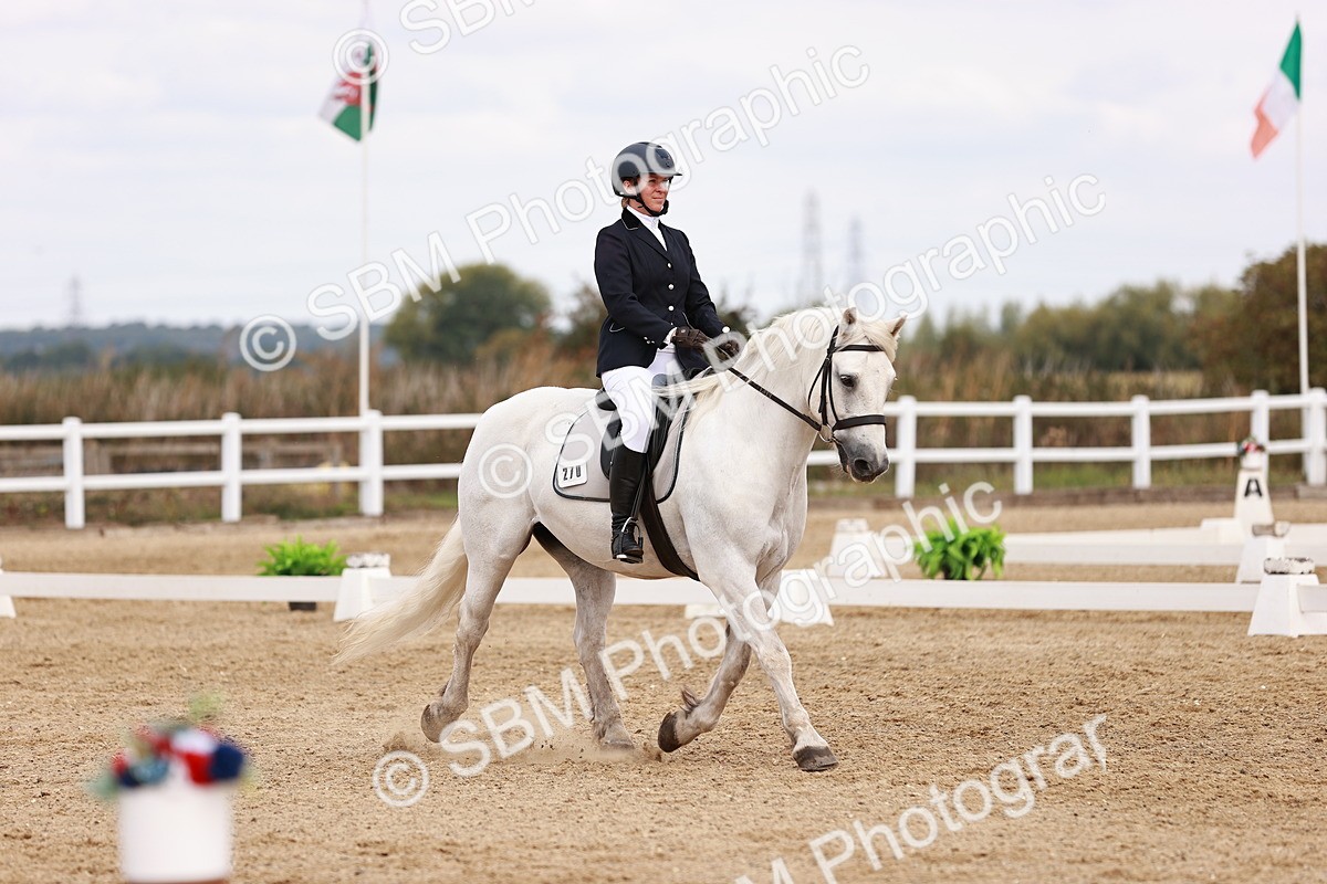 SBM_018016 - Class 15 - Prelim 6