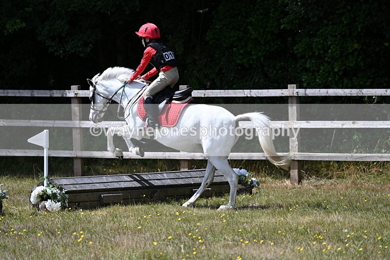 WJ7_0140 - 40cm Time 11:30 to 11:46