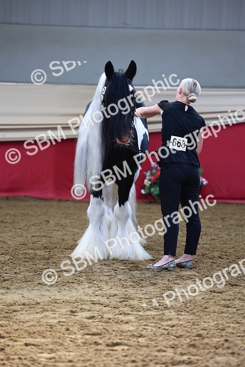 SBM_22378 - Class 902 - Supreme Final - IH Diamond