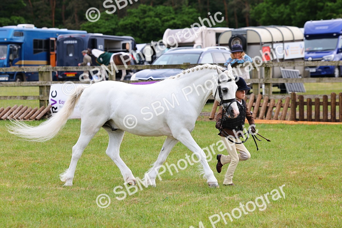 SBM_09560 - Class 44-45 - LIHS BSPS Open Nursery and Cradle Stakes