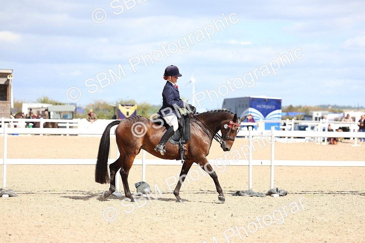 SBM_13250 - Class 311 - Ridden Show Pony Show Hunter Pony