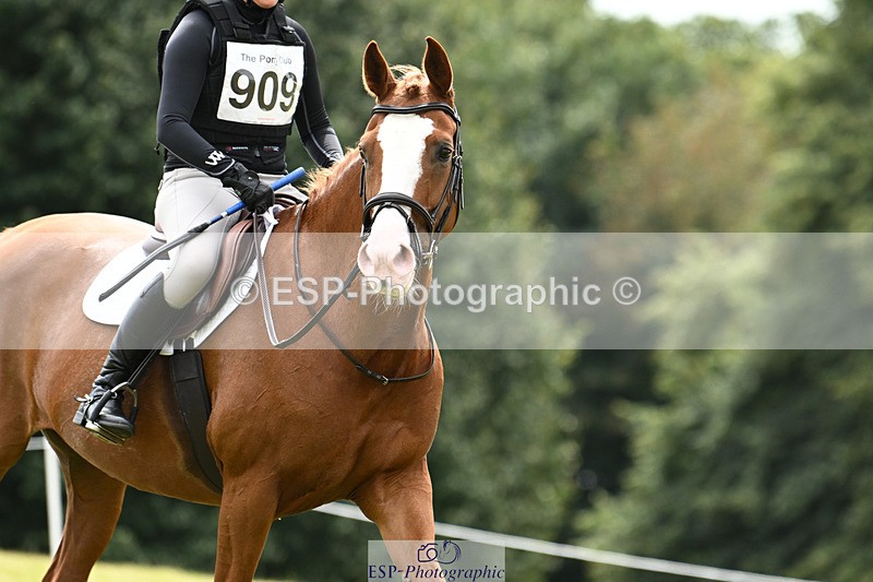 240825X-124052-33327 - 70cm XC 12.00 to End