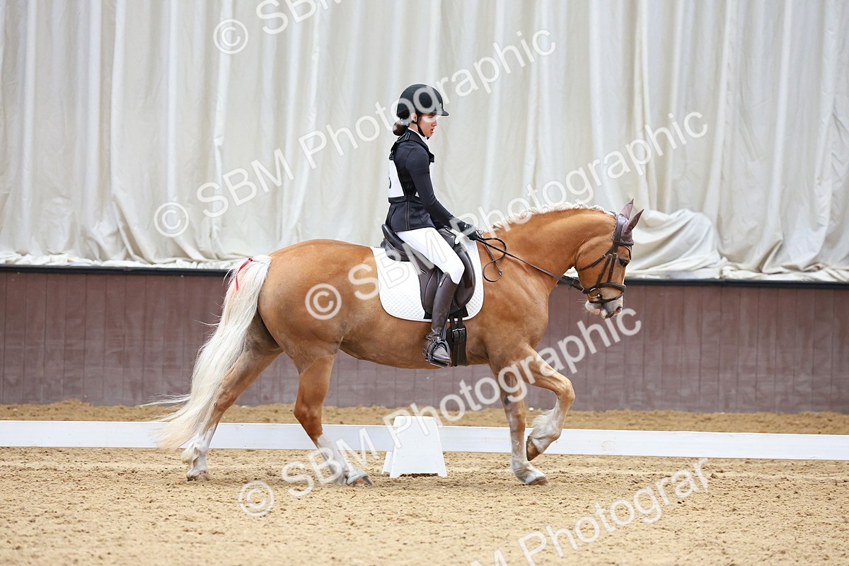 SBM_000539 - Class 4 - CT Prelim 3-70cm