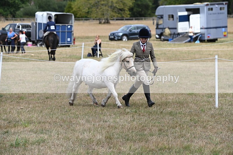 WJ6_5940 - Class 19 In-hand Veterans (Uploaded correct folder)