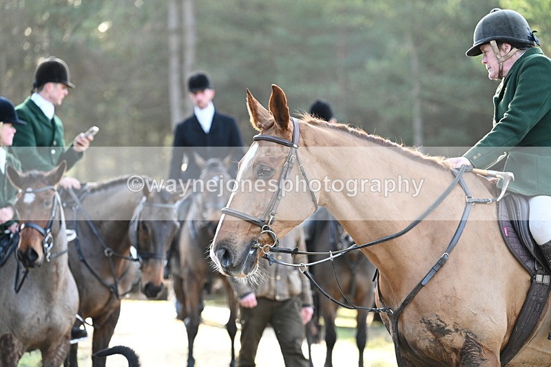 WJ7_7575 - Line 3 (no line 4 or 5)