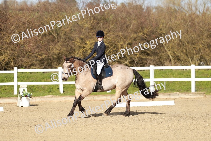 20260314-5380 - DR4 - Prelim 2