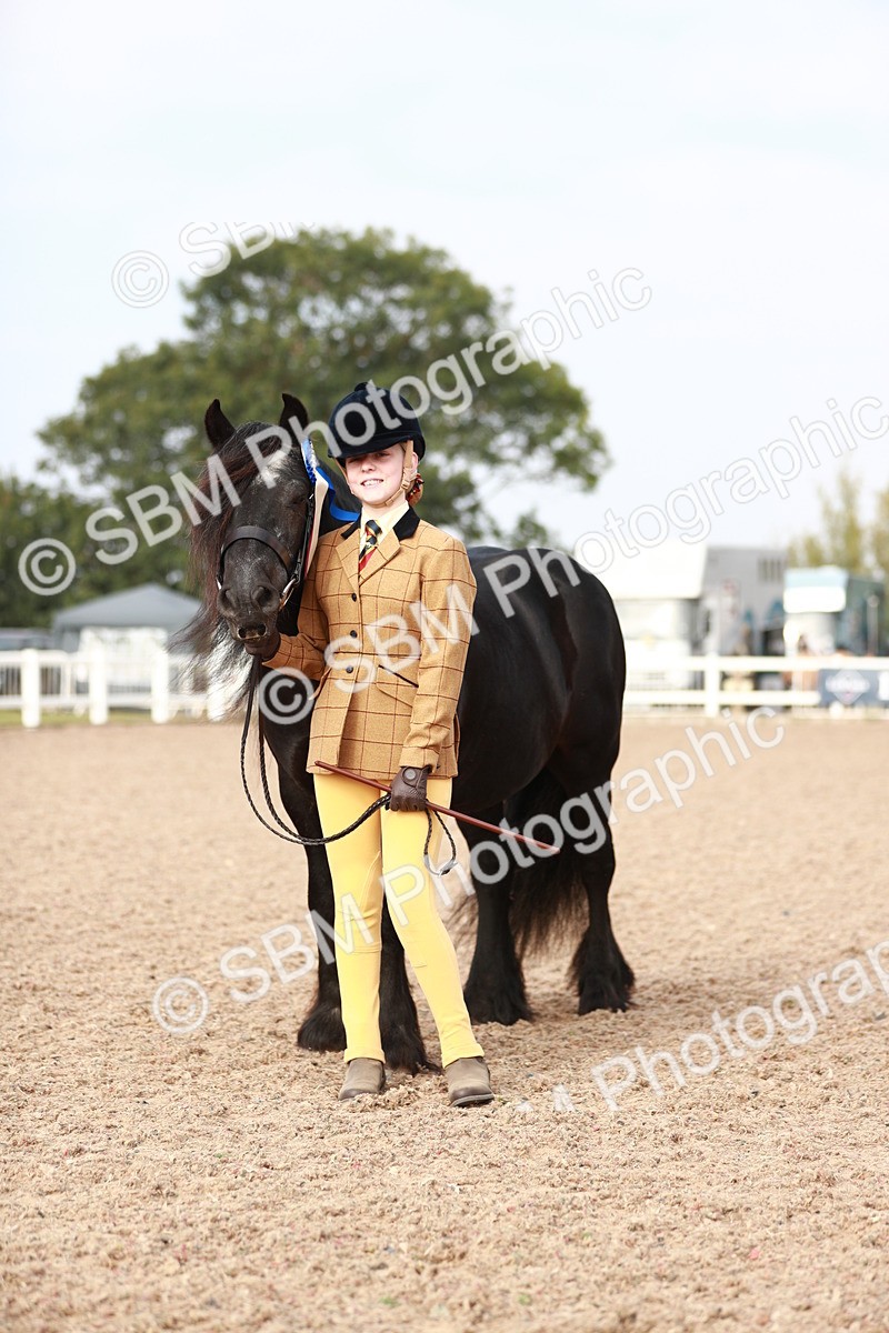 SBM_10621 - Class 204 Young Handler, 11-16 years