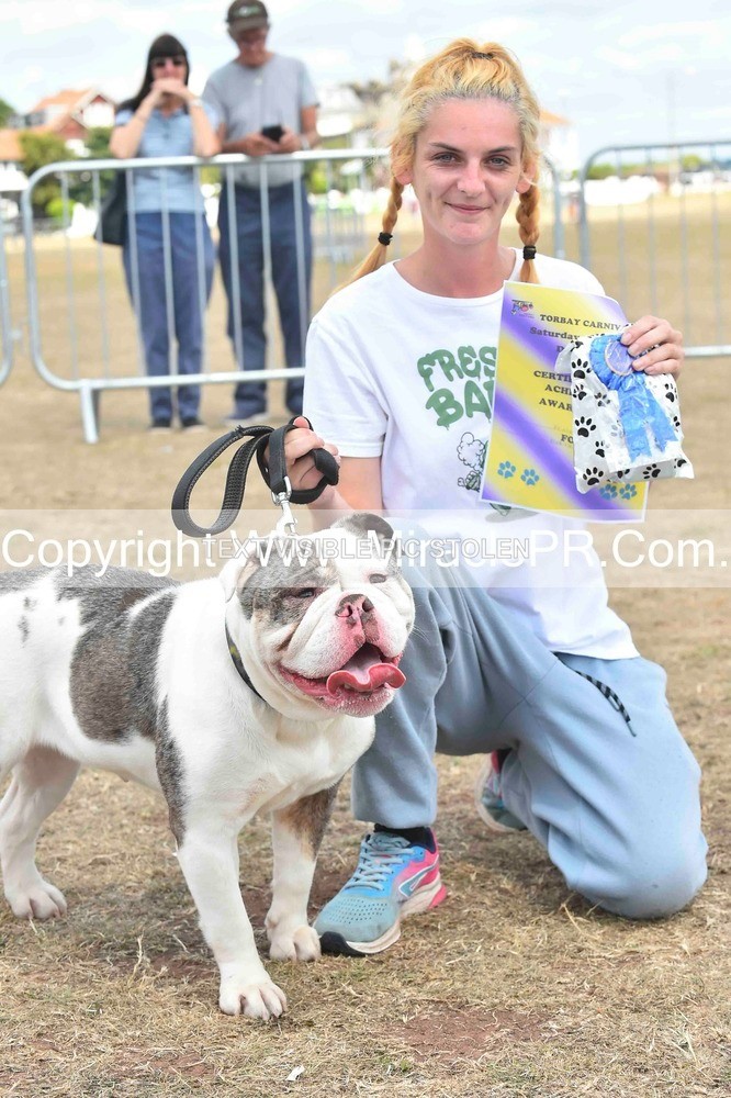 SH4_0202 - Dog show.