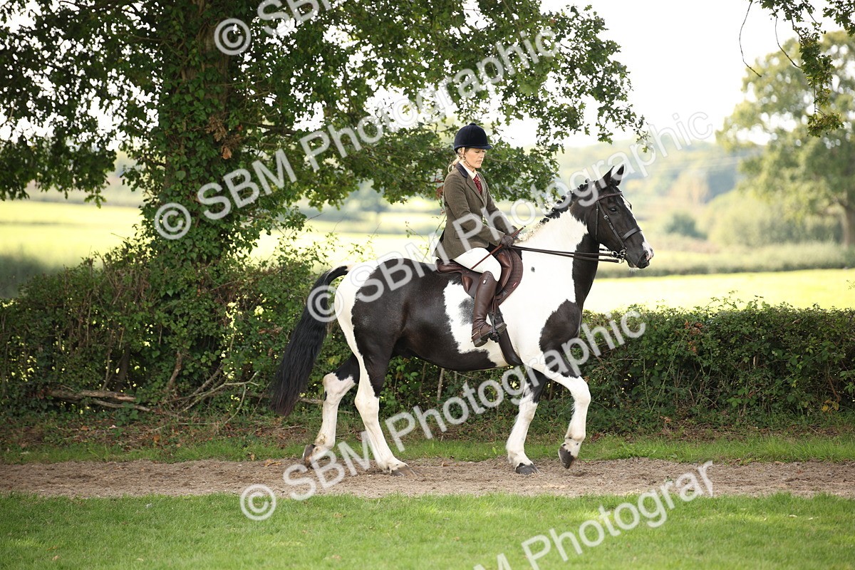 SBM_70058 - S65 - Piebald & Skewbald Horse Ridden