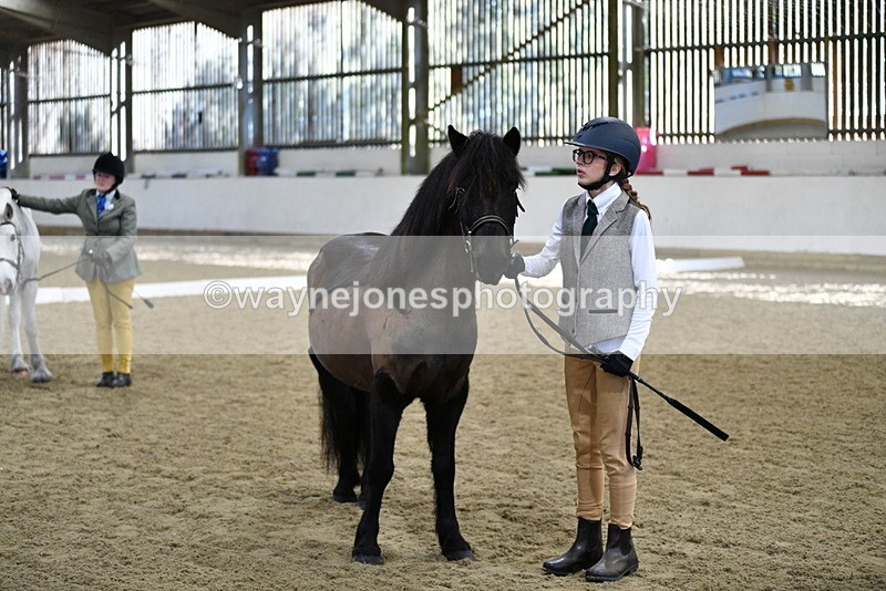 WJ5_3995 - Class 2 Best Condition In hand