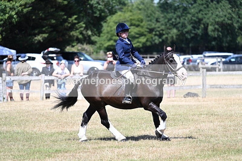 WJ7_3735 - Class 8 Ridden Veterans