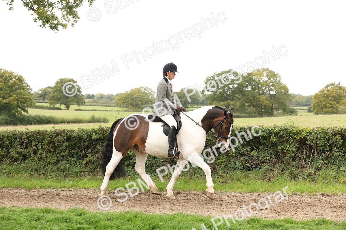 SBM_67223 - S67 - Piebald & Skewbald Horse Ridden