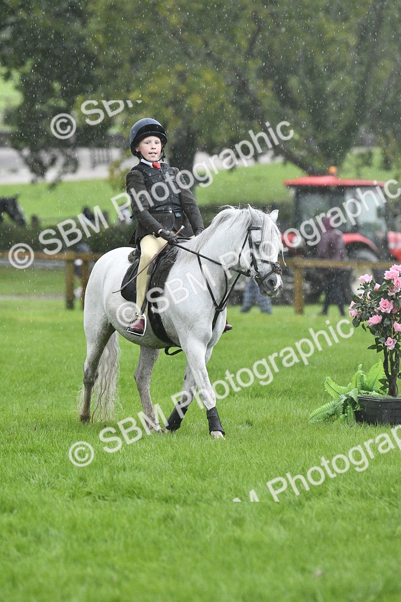 SBM_37126 - S31 - Novice & Newcomer Working Hunter Pony