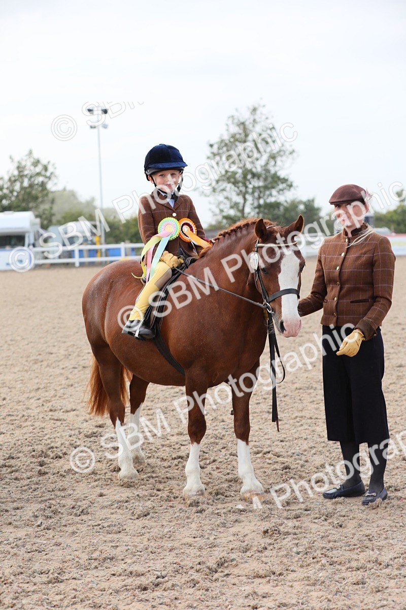 SBM_17050 - Class 314 Family Horse/Pony