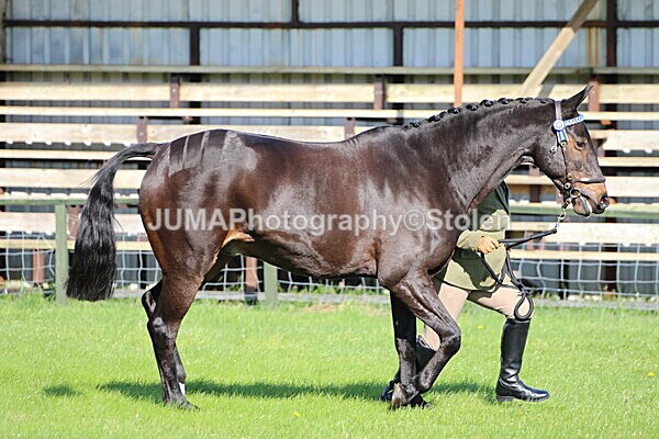 SIAL5744 - Ring 1 & 3