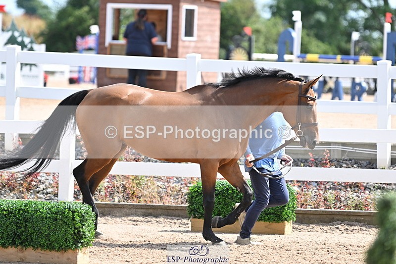 240717A-152352-02809 - Trot Up 3pm to 4pm