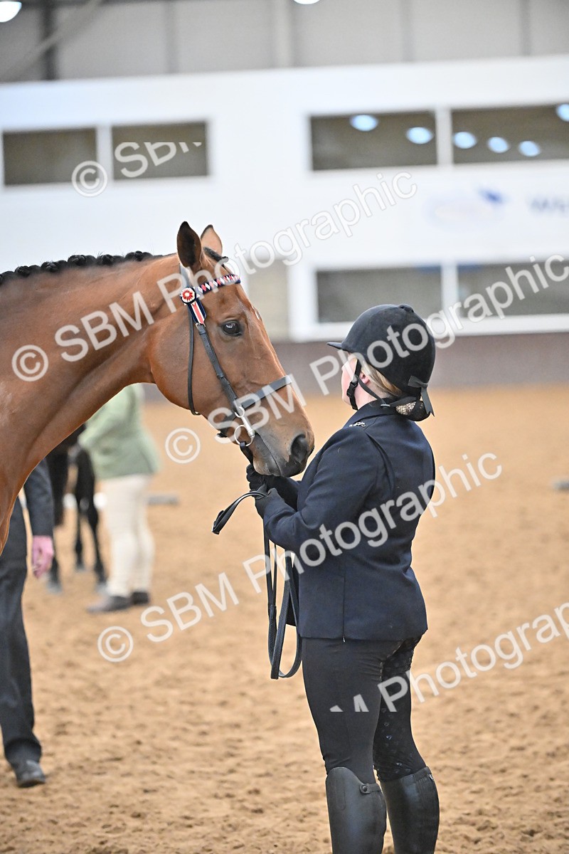 SBM_000148 - Class 6 - BSHA In Hand Racehorse to Show Horse