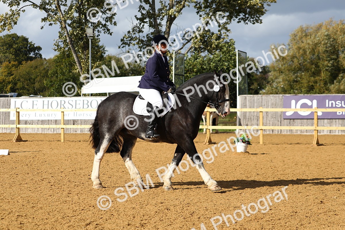 SBM_24501 - D11 - Small Tour Championship Prelim 1