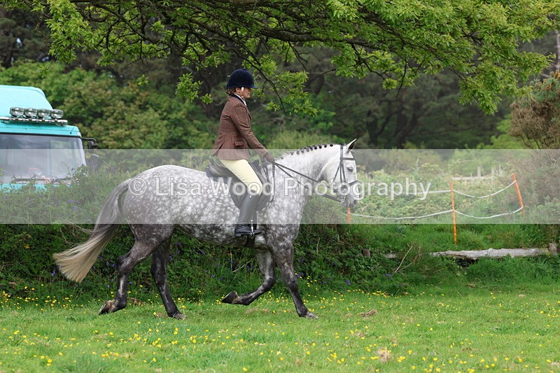 3E7A1712 - Class 9: Riding Club Horse/Pony